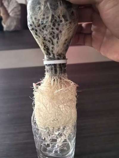 年销售量三十万吨的有机肥生产厂家，全国网点发货，资质齐全，正品保障！有机肥、生物菌肥、微生物肥料等