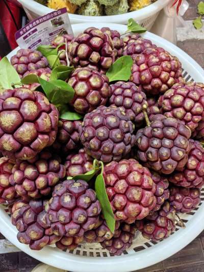 认水果，有认识的吗？