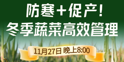 《细说农技》专家张宝林教冬季蔬菜防寒 + 促产高效管理，27 日晚 8 点！