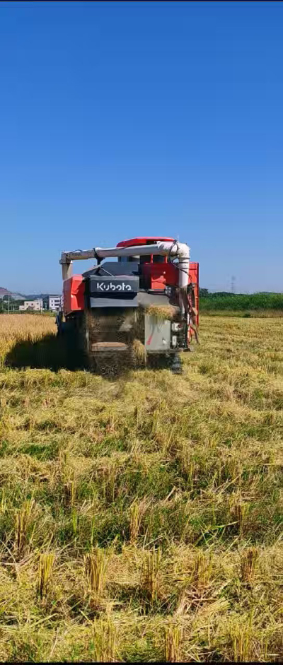 惠州基地，无人拖拉机收水稻了。