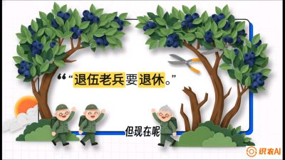 第7节：修剪决定产量（下）&mdash;&mdash;结果树的更新与疏果，课程：《蓝莓&ldquo;高产&rdquo;实战课：从选苗到丰收的10个关键点》