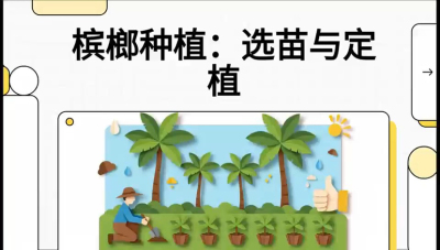 第01节：选苗与定植&mdash;&mdash;&ldquo;苗好一半收，底肥定千秋&rdquo;课程：《槟榔种植：从不懂到精通的10堂必修课》