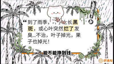 第05节：常见真菌病害&mdash;&mdash;&ldquo;炭疽与烂心，早防值千金&rdquo;《槟榔种植：从不懂到精通的10堂必修课》