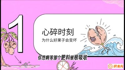 第08节：微量元素与保果&mdash;&mdash;&ldquo;补硼又补钙，果子不裂坏&rdquo;《槟榔种植：从不懂到精通的10堂必修课》