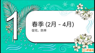 第10节：周年农事日历&mdash;&mdash;&ldquo;跟着节气走，丰产在手头&rdquo;《槟榔种植：从不懂到精通的10堂必修课》