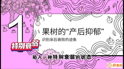 第2节：【冬肥策略】采后&ldquo;月子肥&rdquo;：大小年的精准干预术，课程：《柑橘底肥&ldquo;翻身账&rdquo;：从改土到高产的实战全书》