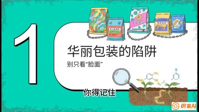 第4节：【黄金配方】底肥里的&ldquo;铁三角&rdquo;与&ldquo;微量雷区&rdquo;课程：《柑橘底肥&ldquo;翻身账&rdquo;：从改土到高产的实战全书》