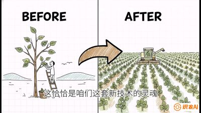 第02节：把树变成草&mdash;&mdash;&ldquo;草本化密植&rdquo;技术，课程：《桑海淘金：桑树高产与蚕桑安全进阶实战课》