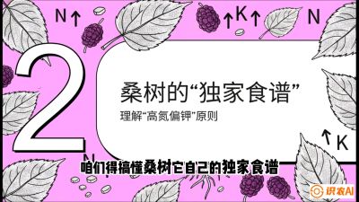 第04节：地下核动力&mdash;&mdash;桑树专用水肥一体化配方，课程：《桑海淘金：桑树高产与蚕桑安全进阶实战课》