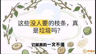 第12节：变废为宝&mdash;&mdash;循环农业实操，课程：《桑海淘金：桑树高产与蚕桑安全进阶实战课》