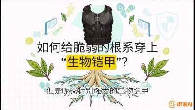 第三节：国产榴莲突围战：根系堡垒，菌根微生态构建与黄金定植窗口，课程：《国产榴莲突围战：从泰国经验到中国实操的8堂必修课（高阶实战版）》