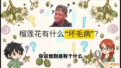 第六节：榴莲的午夜战事，夜间授粉战与花果期避雨策略，课程：《国产榴莲突围战：从泰国经验到中国实操的8堂必修课（高阶实战版）》