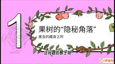 第3节：无人机专治&ldquo;打不透&rdquo;&mdash;&mdash;果树与高杆作物的穿透技巧，课程：《无人机植保搞钱必修课：从&ldquo;瞎飞&rdquo;到&ldquo;懂行&rdquo;的6步进阶》