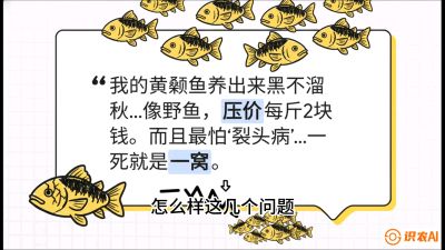 第四节：【黄金单品&middot;黄颡鱼】解决&ldquo;一点红&rdquo;与&ldquo;香蕉色&rdquo;的悖论，课程：《黄金鳞甲：2025中国淡水鱼高效养殖实战营》