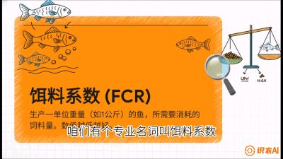 第五节：【高端单品&middot;鳜鱼】&ldquo;饲料鳜&rdquo;技术：打破吃活饵的高成本魔咒，课程：《黄金鳞甲：2025中国淡水鱼高效养殖实战营》