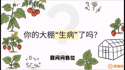 第2节（解毒篇）： 大棚里的&ldquo;红白绿&rdquo;警报&mdash;&mdash;读懂土壤盐渍化的求救信号，课程：《揭秘土壤的秘密：让土地帮你赚钱》#识农AI