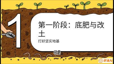 第6节（统筹篇）： 省钱又增产的&ldquo;黄金配比&rdquo;&mdash;&mdash;不同作物全年的养土实操方案，课程：《揭秘土壤的秘密：让土地帮你赚钱》#识农AI