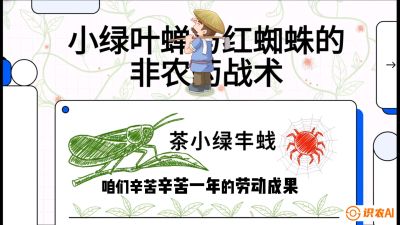 第03节（虫害篇）：看不见的吸血鬼：小绿叶蝉与红蜘蛛的&ldquo;非农药&rdquo;团灭战术（抗性治理），课程：《茶金时代：从&ldquo;看天吃饭&rdquo;到&ldquo;精准控局&rdquo;的茶叶高产提质实战课》