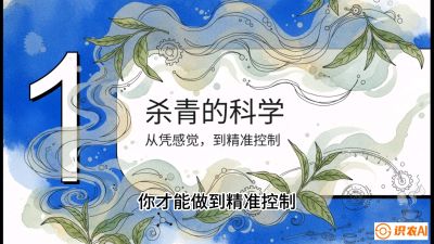 第05节（加工篇）：决胜2分钟：用&ldquo;数字温控&rdquo;破解杀青不匀，复刻大师级手工口感，课程：《茶金时代：从&ldquo;看天吃饭&rdquo;到&ldquo;精准控局&rdquo;的茶叶高产提质实战课》