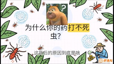 第4节：【虫害歼灭战】打不死的蓟马、隐形的茶黄螨：抗性时代的&ldquo;混配绝杀&rdquo;，课程：《辣椒种植实战特训营，从工业辣椒到精品小米辣，教你如何把&ldquo;草&rdquo;种成&ldquo;金&rdquo;》