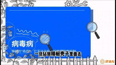 第5节：【病毒病阻击】辣椒的&ldquo;癌症&rdquo;怎么治？从&ldquo;绝收恐慌&rdquo;到&ldquo;带毒生产&rdquo;的逆转术，课程：《辣椒种植实战特训营，从工业辣椒到精品小米辣，教你如何把&ldquo;草&rdquo;种成&ldquo;金&rdquo;》