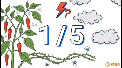 第6节：【花果爆发术】落花落果的五大元凶，与&ldquo;三喷一保&rdquo;坐果黑科技，课程：《辣椒种植实战特训营，从工业辣椒到精品小米辣，教你如何把&ldquo;草&rdquo;种成&ldquo;金&rdquo;》