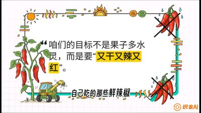 第7节：【工业辣椒专场】追求极致辣度！干物质提升与机械化采收的&ldquo;催红秘籍&rdquo;，课程：《辣椒种植实战特训营，从工业辣椒到精品小米辣，教你如何把&ldquo;草&rdquo;种成&ldquo;金&rdquo;》
