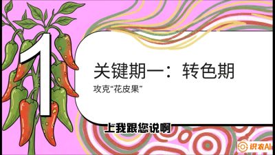 第8节：【小米辣线椒专场】颜值即正义！防花皮、防炭疽，打造收购商抢着要的&ldquo;精品果&rdquo;，课程：《辣椒种植实战特训营，从工业辣椒到精品小米辣，教你如何把&ldquo;草&rdquo;种成&ldquo;金&rdquo;》