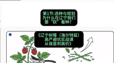 第一节： 选种与规划&mdash;&mdash;为什么在辽宁我们要&ldquo;砍&rdquo;着种？，课程：《辽宁树莓（海尔特兹）高产避坑实战课：从保苗到高价》