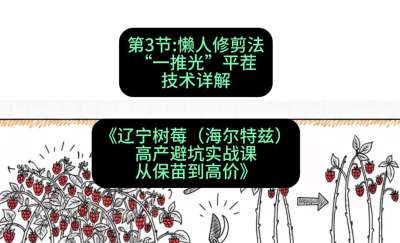 第三节： 懒人修剪法&mdash;&mdash;&ldquo;一推光&rdquo;平茬技术详解，课程：《辽宁树莓（海尔特兹）高产避坑实战课：从保苗到高价》