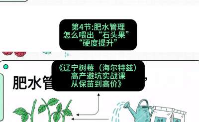 第四节： 肥水管理&mdash;&mdash;怎么喂出&ldquo;石头果&rdquo;（硬度提升），课程：《辽宁树莓（海尔特兹）高产避坑实战课：从保苗到高价》
