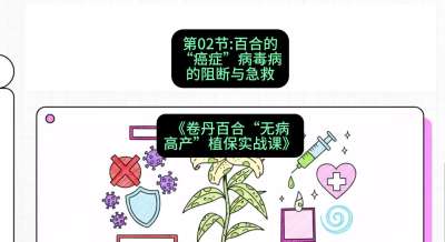 第02节：百合的&ldquo;癌症&rdquo;&mdash;&mdash;病毒病的阻断与急救，课程：《卷丹百合&ldquo;无病高产&rdquo;植保实战课》#识农AI