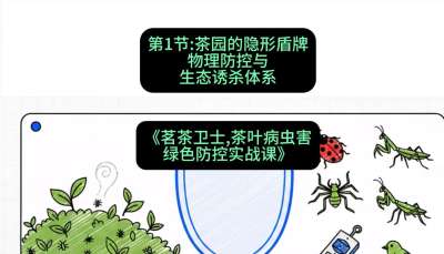 第01节：茶园的&ldquo;隐形盾牌&rdquo;&mdash;&mdash;物理防控与生态诱杀体系，课程：《茗茶卫士&mdash;&mdash;茶叶病虫害绿色防控实战课》#识农AI