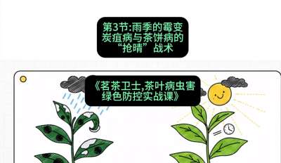 第03节：雨季的霉变&mdash;&mdash;炭疽病与茶饼病的&ldquo;抢晴&rdquo;战术，课程：《茗茶卫士&mdash;&mdash;茶叶病虫害绿色防控实战课》#识农AI