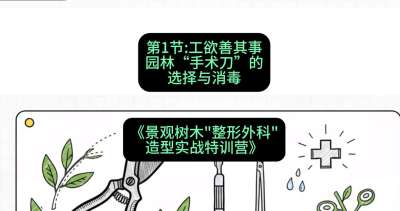 第01节：工欲善其事&mdash;&mdash;园林&ldquo;手术刀&rdquo;的选择与消毒，课程：《景观树木&ldquo;整形外科&rdquo;造型实战特训营》#识农AI
