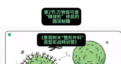 第02节：万物皆可盘&mdash;&mdash;&ldquo;精球形&rdquo;修剪的圆润秘籍，课程：《景观树木&ldquo;整形外科&rdquo;造型实战特训营》#识农AI