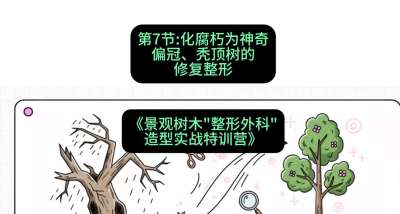 第07节：化腐朽为神奇&mdash;&mdash;偏冠、秃顶树的修复整形，课程：《景观树木&ldquo;整形外科&rdquo;造型实战特训营》#识农AI