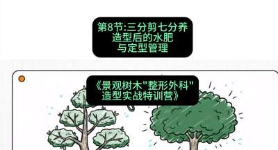 第08节：三分剪七分养&mdash;&mdash;造型后的水肥与定型管理，课程：《景观树木&ldquo;整形外科&rdquo;造型实战特训营》#识农AI